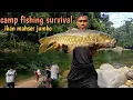 Download Lagu SURVIVAL SPEARFISHING: jauh ke hutan rimba belantara mencari IKAN dewa MAHSER super BESAR