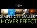How to make a SIMPLE GALLERY using HTML and CSS ONLY 2020 - NO Javascript with hover effect