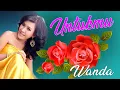Download Lagu Wanda - Untukmu (Official Music Video)