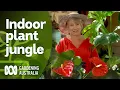 The Jungle Within Indoor plants Gardening Australia