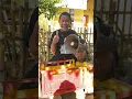Download Lagu TRUK OLENG SUARA SIRINE POLISI #art #craft #diy #like #viral #video #kreatif #food #shorts