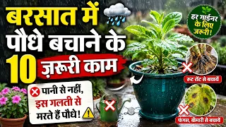 Barsaat Me paudhe bachane Ho to Abhi karo ye 10 Zaruri kam 🌧️ | Tips to save plants in rainy season