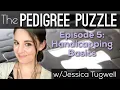 The Pedigree Puzzle Ep5 - HANDICAPPING BASIC using Pedigree