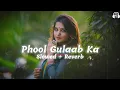 Download Lagu Phool Gulab Ka ( Slowed \u0026 Reverb ) Biwi Ho To Aisi | 90s Hit Hindi Songs Slowed And Reverb