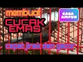 Download Lagu Membuat Burung Cucak Emas /Cucak Rowo Papua / Pitohui jinak dan gacor