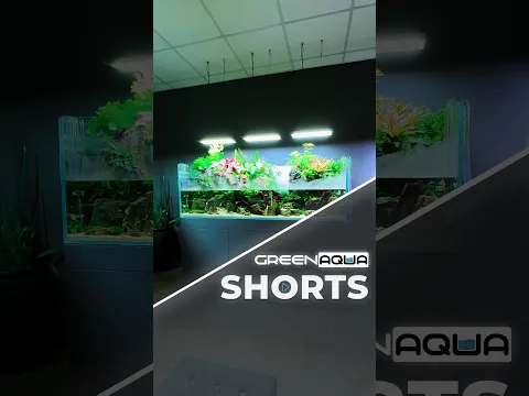 🥲🙂‍↕️