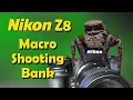 Nikon Z8 Macro Shooting Bank Setup - Photo shooting menu setup for macro photography