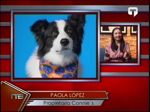 Connie's emprendimiento ecuatoriano línea de accesorios para mascotas