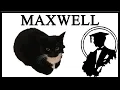 This Is Maxwell The Cat