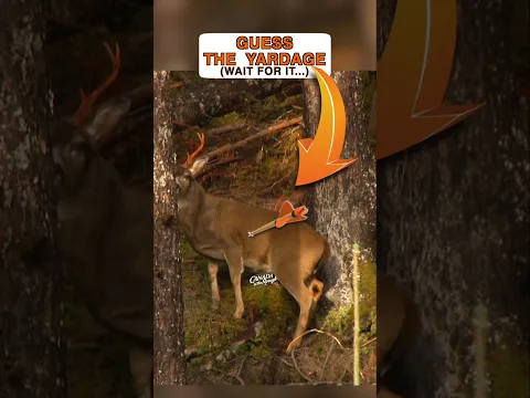 Guess The Yardage... #bowhunting #archery #deer #deerhunting #games #shorts
