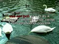 Download Lagu Willeke Alberti   - Spiegelbeeld  ( KARAOKE ) Lyrics