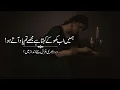 Hame Ab Kho Ke Kehta Hai poetry - Urdu Sad Poetry - insta reels poetry - Sad Whatsapp status poetry