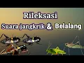 Download Lagu Terbaru..!!! Rileksasi suara Jangkrik dan belalang