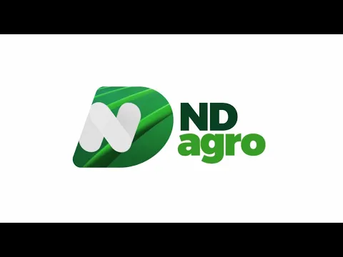 ND Agro bloco 2: espécies de abelhas são encontradas naturalmente em SC