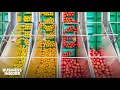 Download Lagu How This Tiny Country Became The 2nd Biggest Agricultural Exporter In The World