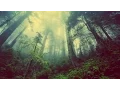 Download Lagu Evergreen Refuge - Earthborn (Full Album)