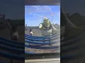 Reading the entire Shrek script 1 word per day Wait