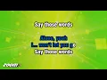 James Morrison - I Won't Let You Go - Karaoke Version from Zoom Karaoke