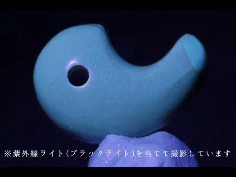 ブルーアンバー(天然琥珀) 勾玉 1.9g｜天然石通販キラリ石