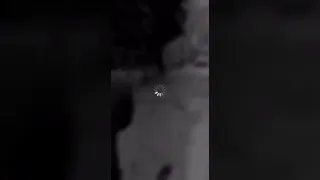 ستوري انستا تمايل ياحلاته ومره شفته بدون حقوق 