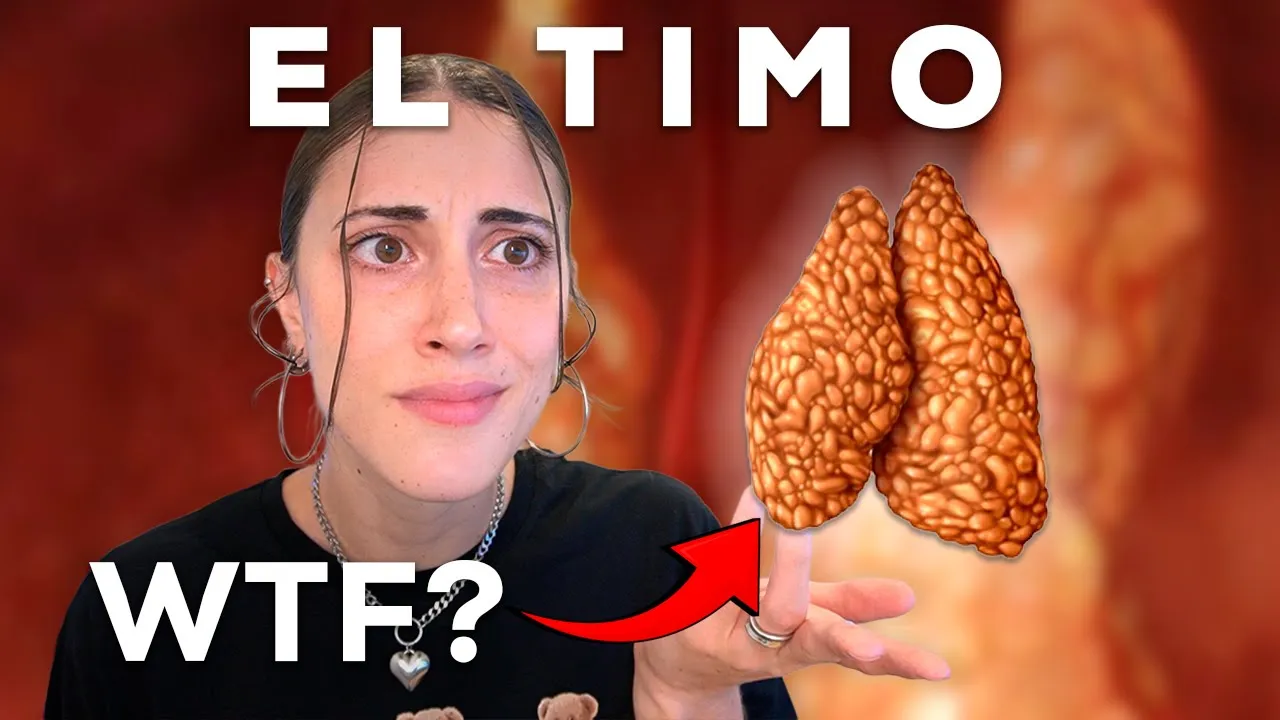 El TIMO: el ÓRGANO vital para tu SUPERVIVENCIA que NADIE CONOCE