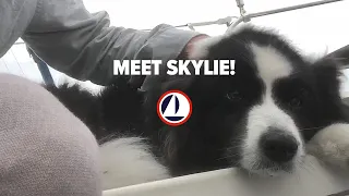 Captain’s Log — 11/15/2019 — Meet Skylie!  (pacific solo)