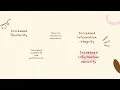 MGT300 CHAPTER 7 STORING ORGANIZATIONAL INFORMATION-DATABASE