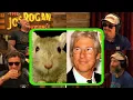 jre protectourparks everything reveal on the greatest ever bs story richard gere and the gerbil