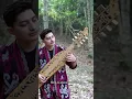 Download Lagu Pica pica - Juan Reza (Sape' Cover by Alif Fakod)
