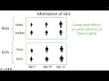 Generalized Estimating Equations GEE