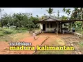 Download Lagu Diaspora Madura kalimantan dengan bahasa dan tradisi yang selalu terjaga