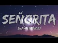 Download Lagu Shawn Mendes - SEÑORITA (8D AUDIO)