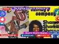 Lagu The Rolling Stones Ft Shirley \u0026 Co Shame Shame Shame Remix Mashup