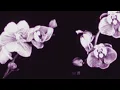 Matt Hansen - Before We Know It (Lyric Video)