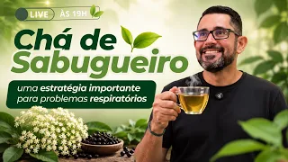 Chá de sabugueiro - uma estratégia importante para problemas respiratórios