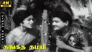 thanga thambi movie songs k v mahadevan ravichandran bharathi vanisri classic hits