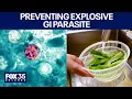 Cyclosporiasis How to prevent the produce parasite