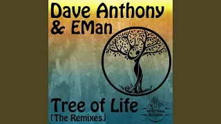 tree of life dj bonnie midnight remix dave 