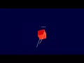 Divine - Badla LYRICS / Lyric Video l #GullyGang