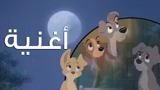 عيلة النبيلة والشارد ٢ انطلاقة سهم 