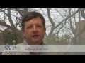 Southern Veterinary Partners
