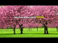 Download Lagu Karaoke Original - Defri Julian ( Cover ) | Gara Gara Sebotol Minuman