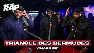                                        دندنها