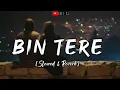 Bin Tara [Slowed & Reverb] Silent Ocean | Shafqat Amanat Ali | Sunidhi Chauhan | LoFi73