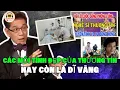 Lagu Câu Chuyện Thương Tín : Hào Quang Không Cứu Được Một Đời Người | Phong cách Ngọc Ngạn