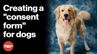 Can dogs agree to participate in research? | Maria Botero | TEDxSHSU