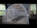 Ammer Pop up Mosquito Net Tent for Beds Queen Size Review
