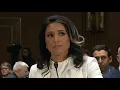 Tulsi Gabbard full Senate confirmation hearing for intelligence chief Jan 30 2025