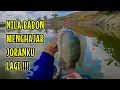 Download Lagu TAK DISANGKA😱‼️IKAN NILA BABON MENGHAJAR JORANKU LAGI || mancing ikan nila di waduk sangiran Ngawi