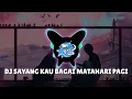 Download Lagu DJ SAYANG KAU BAGAI MATAHARI PAGI - Ver. Music Video